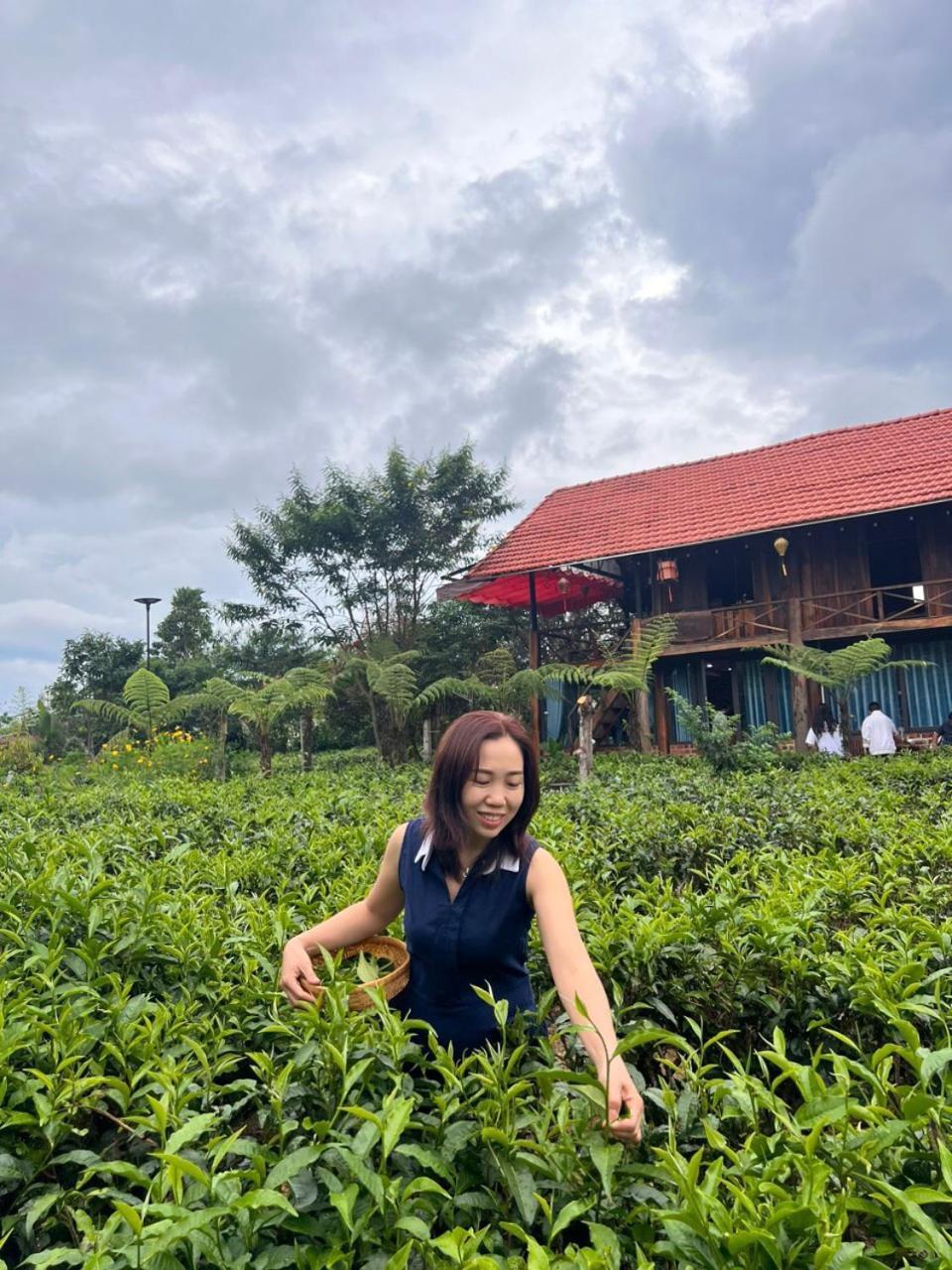 Tea Garden House Villa Bao Loc Exterior photo