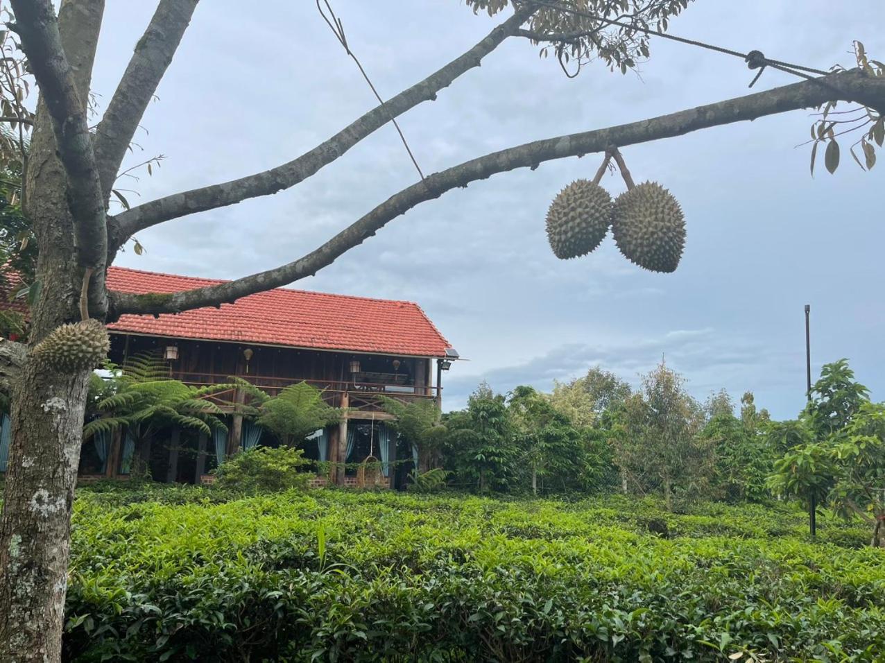 Tea Garden House Villa Bao Loc Exterior photo