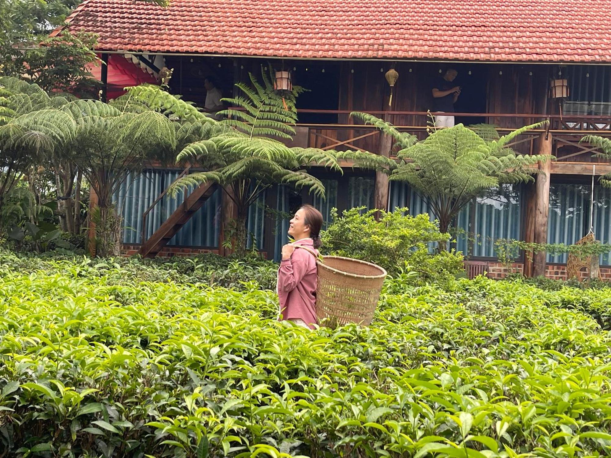 Tea Garden House Villa Bao Loc Exterior photo