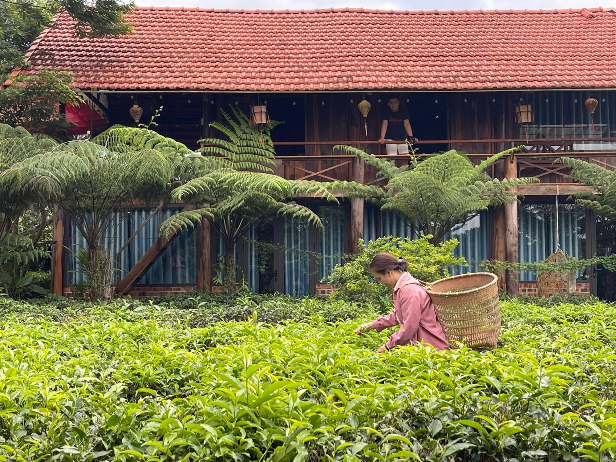 Tea Garden House Villa Bao Loc Exterior photo