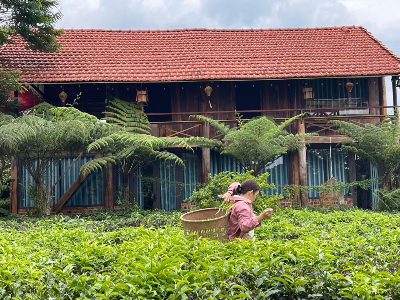Tea Garden House Villa Bao Loc Exterior photo