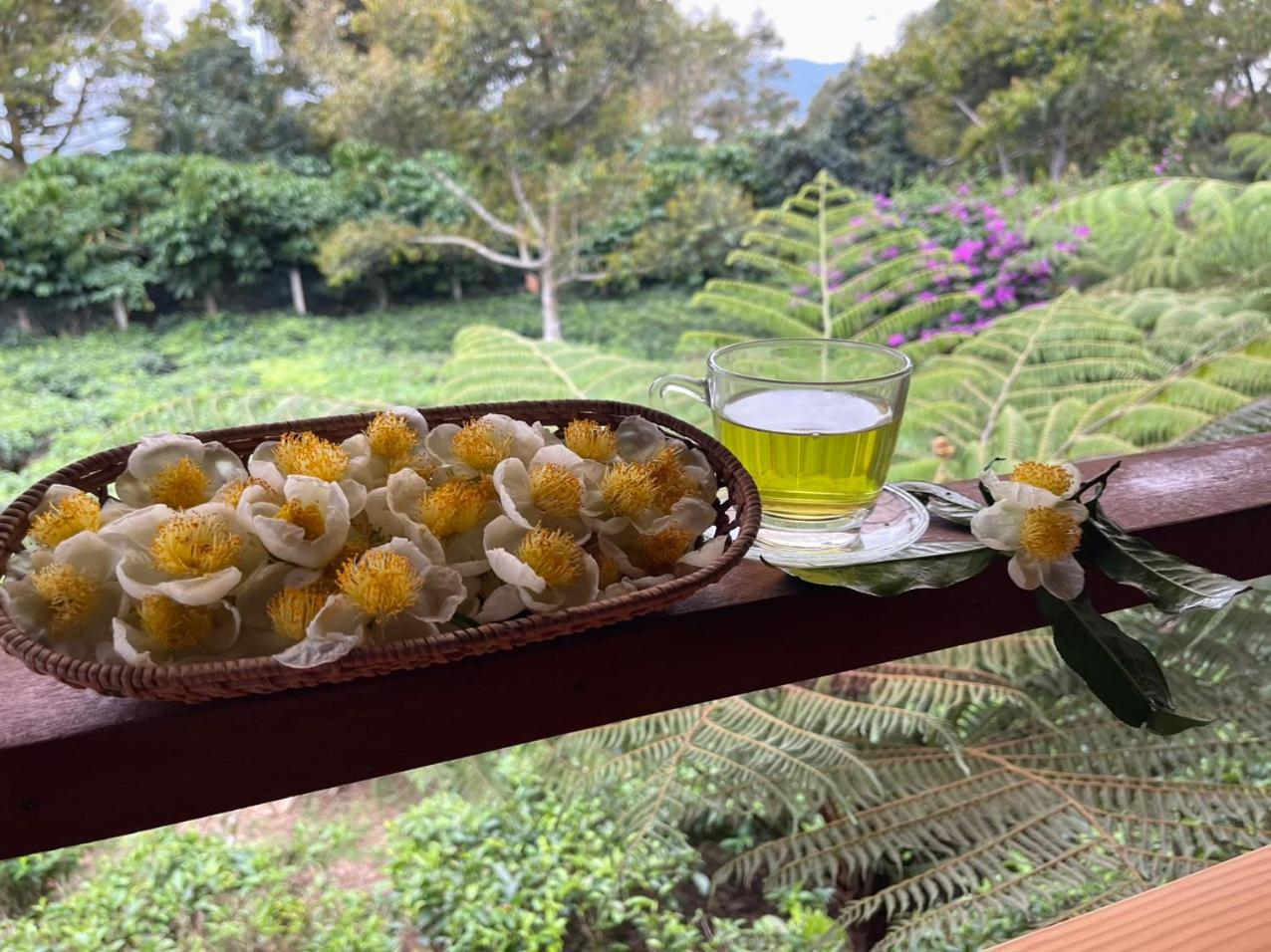 Tea Garden House Villa Bao Loc Exterior photo